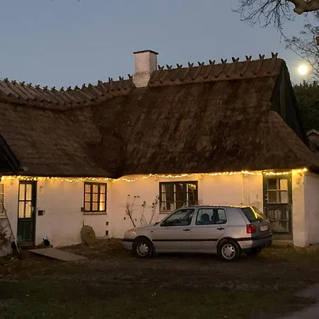 Nyaraló Protected Gem By Glaeno's Verdant Woods