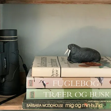 Protected Gem By Glaeno's Verdant Woods * Skælskør