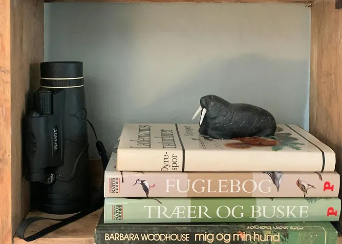 Protected Gem By Glaeno's Verdant Woods * Skælskør